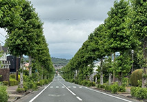新都田